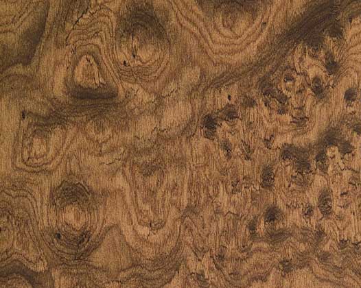 wood-figure-burl-walnut
