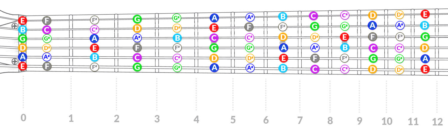 Guitar Fretboard Visualization Chart